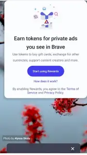 Brave Browser (Beta) скриншот 3