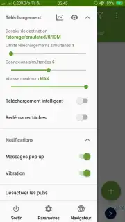 IDM (internet download menager) скриншот 7