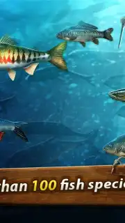 Gone Fishing: Trophy Catch скриншот 4