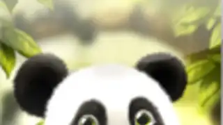 Panda Chub Live Wallpaper Free
