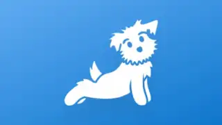 Yoga | Down Dog