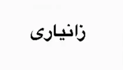 زانیاری