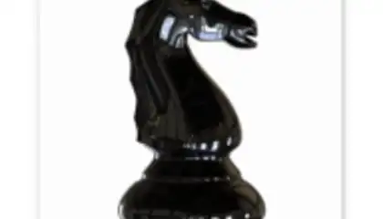World Chess Championship