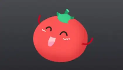 VPN Tomato