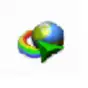 IDM (internet download menager)